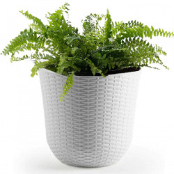 Tradineur - Maceta de plástico redonda Rattan, macetero, tiesto para plantas, flores, balcón, terraza, jardín (Blanco, 32,5 x 30