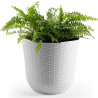 Tradineur - Maceta de plástico redonda Rattan, macetero, tiesto para plantas, flores, balcón, terraza, jardín (Blanco, 32,5 x 30