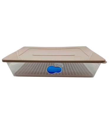 Kozzi - Caja rectangular de plástico con rejilla interior 9 x 35,5 x 26 cm, recipiente contenedor de alimentos para frigorífico, caja organizadora nevera verduras, frutas, color aleatorio