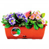 Tradineur - Jardinera para balcón con plato integrado - PLFT - Fabricado en plástico - Capacidad de 10 L - 17 x 50 x 19,5 cm - C