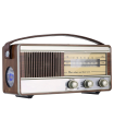 Tradineur - Radio vintage "Soul" portátil con asa y linterna, bluetooth, bandas AM/FM, batería recargable, ranuras usb y micro SD, antena retráctil (10 x 23 x 7,7 cm)