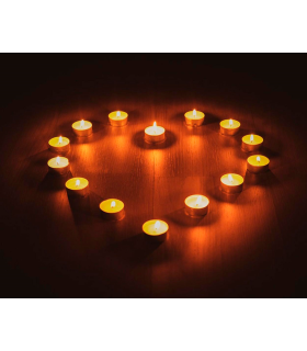 Tradineur - Pack de 50 velas de té con aroma neutro, tealights, tiempo de combustión: 4,5 horas, decoración del hogar (Blanco, 3,7 x 1,6 cm)