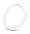 Tradineur - T9 Tubo circular fluorescente G10q, 32W, luz fria 6500K, 230V, 2100lm, 50Hz, diámetro 30 cm