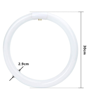 Tradineur - T9 Tubo circular fluorescente G10q, 32W, luz fria 6500K, 230V, 2100lm, 50Hz, diámetro 30 cm