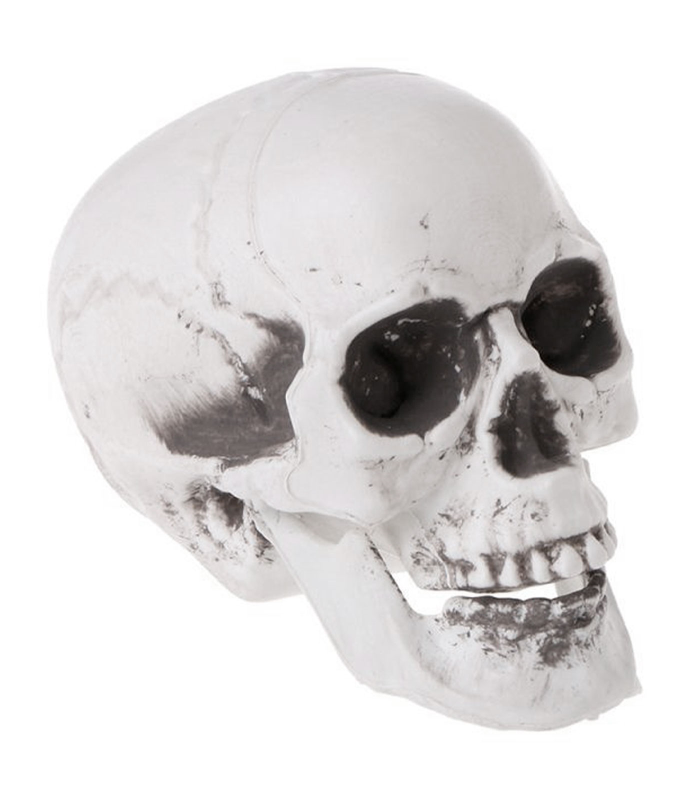 Tradineur - Calavera para Halloween, plástico, cráneo, decoración de interior, carnaval, fiestas, celebraciones, 15 cm