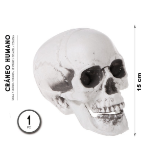 Tradineur - Calavera para Halloween, plástico, cráneo, decoración de interior, carnaval, fiestas, celebraciones, 15 cm