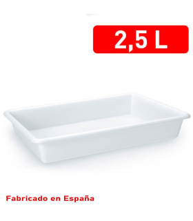 Tradineur - Bandeja frigorífica de almacenamiento, plástico, reutilizable, servir comida, aperitivos, fabricado en España - 2,5 litros - 30,5 x 23 x 5,5 cm – Blanco