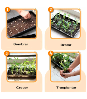 Tradineur - Pack de 5 bandejas de plástico para cultivos, bandejas de germinación, semillero, crecimiento, propagación, semillas, inicio de plántulas, siembra (Negro - 35 x 23 cm)