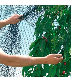 Tradineur - Malla anti pájaros, red de polietileno para protección contra animales, aves, plantas, árboles, jardín, huerto, cultivos (Verde, 5 x 6 m)