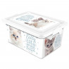 Tradineur - Caja de plástico con tapa y cierres laterales clip, cajón de almacenaje multiusos, ordenación, objetos, hogar, fabri