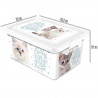 Tradineur - Caja de plástico con tapa y cierres laterales clip, cajón de almacenaje multiusos, ordenación, objetos, hogar, fabri