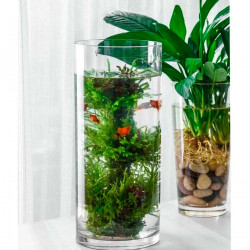 Tradineur - Jarrón de cristal cilíndrico decorativo 40 x 10 cm, florero tubular transparente, sencillo, moderno para decorar el