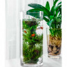 Tradineur - Jarrón de cristal cilíndrico decorativo 40 x 10 cm, florero tubular transparente, sencillo, moderno para decorar el