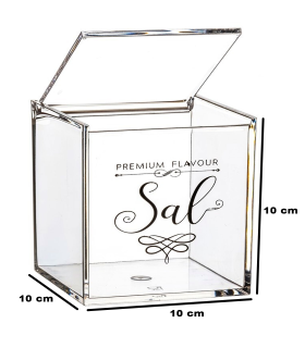 Tradineur - Salero cuadrado transparente de metacrilato con tapa abatible, recipiente para guardar sal fina o gruesa, condimentos de cocina (Premium, 10 x 10 x 10 cm)