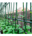 Tradineur - Tutor de hierro plastificado, varilla, guía para plantas, flores, tomates, estaca para jardín, huerto (Verde, 180 cm, Ø 16 mm)