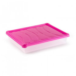 Tradineur - Bandeja rectangular para frigorífico, base transparente y tapa en color pastel aleatorio, capacidad 4 litros, 6,5 x