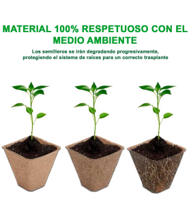 Tradineur - Pack de 24 bandejas de semilleros biodegradables, 6 plantas, bandejas de germinación de papel, crecimiento, propagación, cultivos - 12 x 8 x 5,2 cm