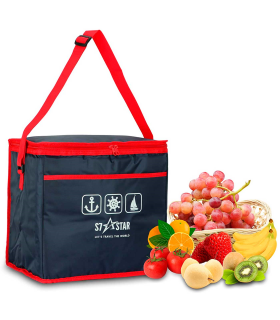 Tradineur - Bolsa térmica, nevera porta alimentos con correa ajustable y aislante interior, plegable, picnic, playa, camping (10 litros, 24 x 16 x 25 cm)