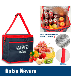 Tradineur - Bolsa térmica, nevera porta alimentos con correa ajustable y aislante interior, plegable, picnic, playa, camping (10 litros, 24 x 16 x 25 cm)