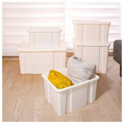 Tradineur - Caja de almacenaje con tapa N.º 18 - Fabricado en plástico - Capacidad de 60 L - Ideal para multiusos, ordenación y