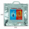 Tradineur - Pack de 3 de bolsas térmicas para alimentos - Fabricado en polietileno y plástico - Ideal para pícnics, salidas y pi