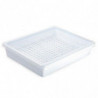 Tradineur - Bandeja con rejilla para frigorífico, fuente para la cocina, restaurante, bares, hostelería, 6,5 x 35 x 27,5 cm, col
