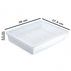 Tradineur - Bandeja con rejilla para frigorífico, fuente para la cocina, restaurante, bares, hostelería, 6,5 x 35 x 27,5 cm, col