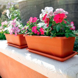 Tradineur - Jardinera con plato Rectangular "Terracota" - PLFT - Fabricado en Plástico - Macetero apto para Exterior e Interior