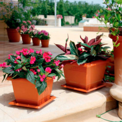 Tradineur - Maceta Cuadrada con plato "Terracota" - Fabricado en Plástico - Macetero apto para Exterior e Interior del hogar - 3