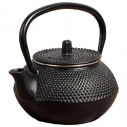 Tradineur - Tetera japonesa de 600 ml - Fabricado en Hierro Fundido - Dispone de filtro - Dispone de fondo especial para vitro -