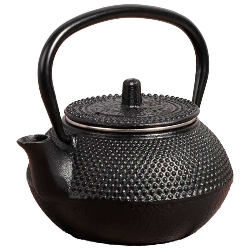 Tradineur - Tetera japonesa de 600 ml - Fabricado en Hierro Fundido - Dispone de filtro - Dispone de fondo especial para vitro - Tradineur - Tetera japonesa de 600 ml - Fabricado en Hierro Fundido - Dispone de filtro - Dispone de fondo especial para vitro -