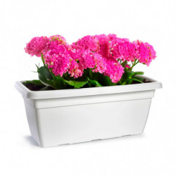 Tradineur - Jardinera de plástico sin Plato - 100 cm - Agujeros de drenaje - Modelo PLFT - Forma Rectangular - Ideal para decora