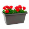Tradineur - Jardinera de plástico sin Plato - 100 cm - Agujeros de drenaje - Modelo PLFT - Forma Rectangular - Ideal para decora