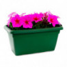 Tradineur - Jardinera de plástico sin Plato - 100 cm - Agujeros de drenaje - Modelo PLFT - Forma Rectangular - Ideal para decora