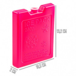 Tradineur - Pack de 4 Acumuladores de Frío N.º 5 - 260 G - Fabricado en Plástico - Ideal para mantener la temperatura en tu neve