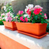 Tradineur - Jardinera con plato Rectangular "Terracota" - PLFT - Fabricado en Plástico - Macetero apto para Exterior e Interior