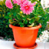 Tradineur - Maceta Redonda "Terracota" - Fabricado en Plástico - Macetero apto para Exterior e Interior del hogar - Ø 50 cm - Co