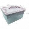 Tradineur - Caja de Almacenamiento con Bandeja interior y Asa - N.º 9 - 12 Litros - Fabricado en Plástico - Cierre Hermético y S