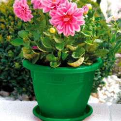 Tradineur - Maceta Redonda "Terracota" - Fabricado en Plástico - Macetero apto para Exterior e Interior del hogar - 20 cm - Colo