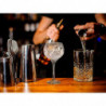 Tradineur - Set de 6 copas de cristal, modelo Ambassador, servir cubatas, cócteles, champán, elegantes, aptas para lavavajillas