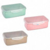 Tradineur - Pack de 2 Fiambreras Rectangular Pastel con tapa Transparente - Fabricado en Plástico - Apta para microondas y lavav