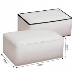 Tradineur - Organizador rectangular de peva, caja plegable con cremallera, ordenación, ropa, fácil de limpiar, antipolvo, antihu