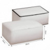Tradineur - Organizador rectangular de peva, caja plegable con cremallera, ordenación, ropa, fácil de limpiar, antipolvo, antihu