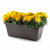 Tradineur - Jardinera modelo PLFT de plástico, polipropileno, tiesto, macetero, recipiente para plantas, flores, balcón, terraza