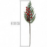 Tradineur - Pack de 6 pick de pino con bayas rojas escarchadas - Fabricado en Plástico - Decoración navideña - 36 cm de logitud
