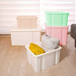 Tradineur - Caja de Almacenamiento con tapa - Fabricado en plástico - Contenedor para almacenar juguetes, Libros, ropa, mantas -