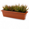 Tradineur - Jardinera Modelo Terracota - PLFT - Fabricado en Plástico - Macetero apto para Exterior e Interior del hogar - 60 cm