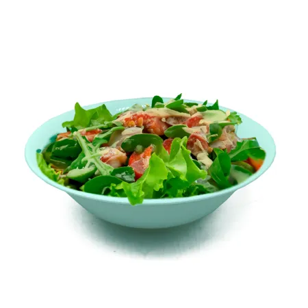 Tradineur - Pack de 2 Ensaladeras Redondas Modelo Elba - Fabricado en Vidrio Opal - ligeras y resistentes - ideales para el uso 
