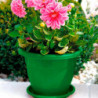 Tradineur - Maceta Redonda "Terracota" - Fabricado en Plástico - Macetero apto para Exterior e Interior del hogar - Ø 30 cm - Co