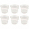 Tradineur - Pack de 6 cubos transparentes de plástico con tapa y asa, aptos para uso alimentario, herméticos y estables, fabrica